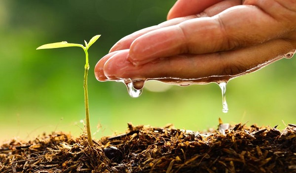 Học Phật hiểu Pháp giúp trí tuệ khai mở, sáng suốt hơn