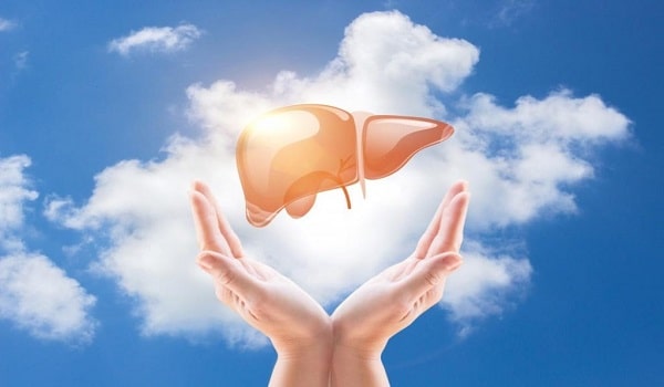 Thải độc gan thường xuyên giúp cơ thể được thanh lọc tốt hơn 