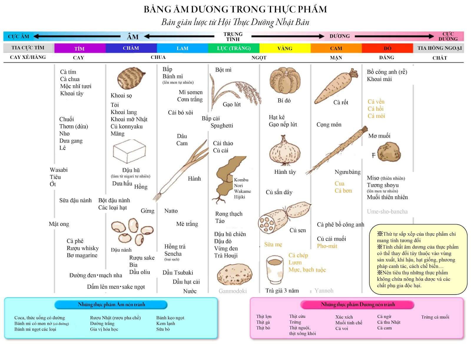 Bảng phân loại thực phẩm hỗ trợ xây dựng thực đơn ăn chay đúng cách