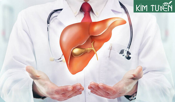 Thực đơn thanh lọc cơ thể 7 ngày giúp giảm gánh nặng cho gan thận