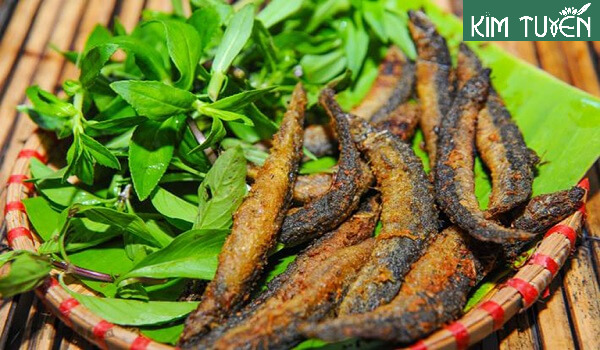 Cá chạch thơm ngon và bổ dưỡng nên rất được yêu thích