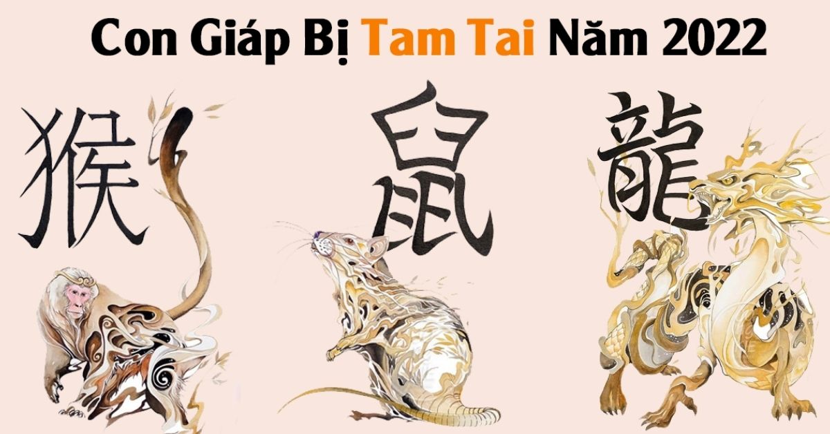 Tuổi tam tai 2022