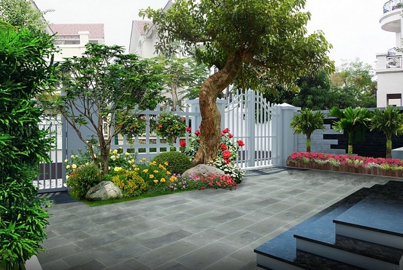 Trồng cây phong thủy trước nhà giúp mang lại may mắn và tài lộc cho gia chủ