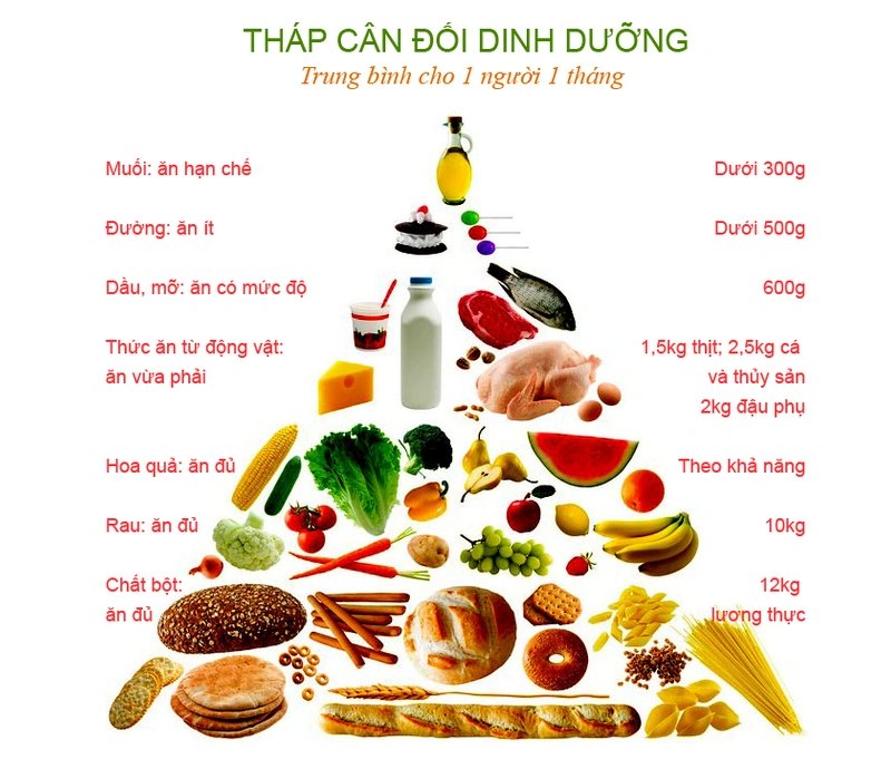 Ăn uống hợp lý dựa vào đâu