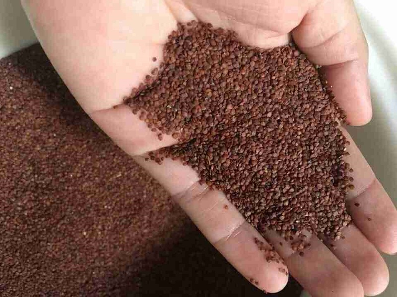 Đắp mặt nạ ngũ hoa đơn giản