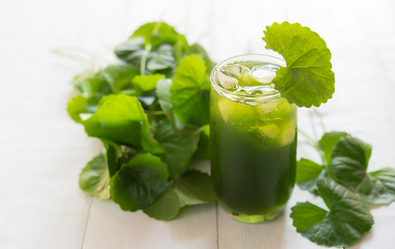 Sinh tố rau má giúp giải nhiệt